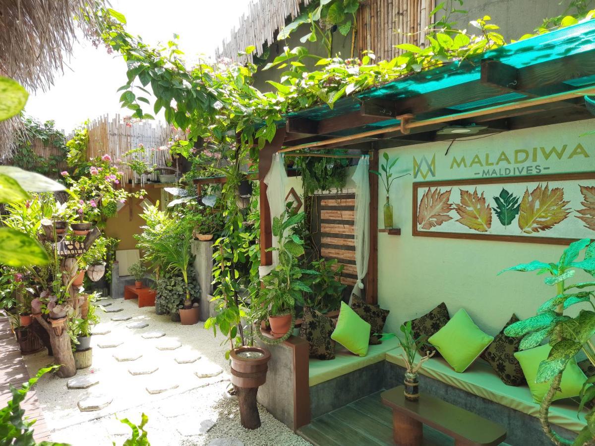 Maladiwa Beach & Spa Maafushi Eksteriør bilde